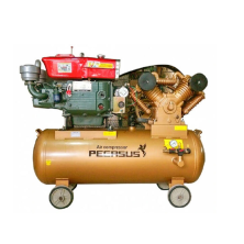 Máy Nén Khí Đầu Nổ Pegasus 20HP TM-W-2.0/8-500L
