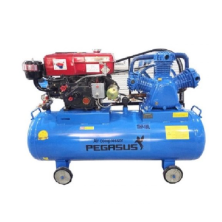 Máy Nén Khí Đầu Nổ Chạy Dầu Pegasus 10HP TM-W-1.0/8-330L