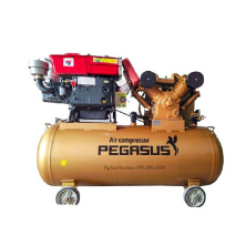 Máy Nén Khí Đầu Nổ Pegasus 15HP TM-W-1.6/8-500L