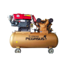 Máy Nén Khí Dây Đai Đầu Nổ Chạy Dầu Pegasus 10HP TM-W-1.0/8-500L
