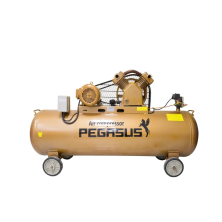 Máy Nén Khí Dây Đai Pegasus 10HP TM-V-1.05/12.5-500L