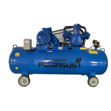 Máy Nén Khí Dây Đai Pegasus 10HP TM-W-0.9/8-330L