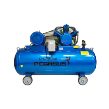 Máy Nén Khí Dây Đai Pegasus 20HP TM-W-2.0/8-500L