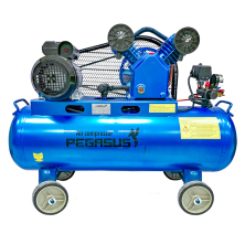 Máy Nén Khí Dây Đai Pegasus 2HP TM-V-0.17/8-120L