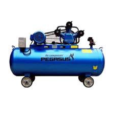 Máy Nén Khí Dây Đai Pegasus 7.5HP TM-W-0.67/8-330L