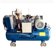 Máy Nén Khí Trục Vít Pegasus 5.5Kw TMTV-7.5A