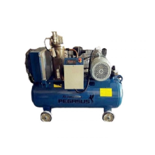 Máy Nén Khí Trục Vít Pegasus 7.5Kw TMTV-10A