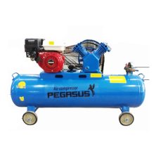 Máy Nén Khí Chạy Xăng 3Hp 120L Pegasus TM-V-0.25/8
