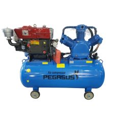 Máy Nén Khí Đầu Nổ 15Hp 330L Pegasus TM-W-1.6/12.5