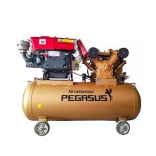 Máy Nén Khí Đầu Nổ 7.5Hp 230L Pegasus TM-W-0.67/8