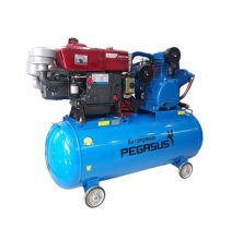 Máy Nén Khí Đầu Nổ Pegasus 7.5Hp 330L TM-W-0.67/12.5