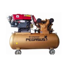 Máy Nén Khí Đầu Nổ Pegasus 7.5Hp 330L TM-W-0.67/8